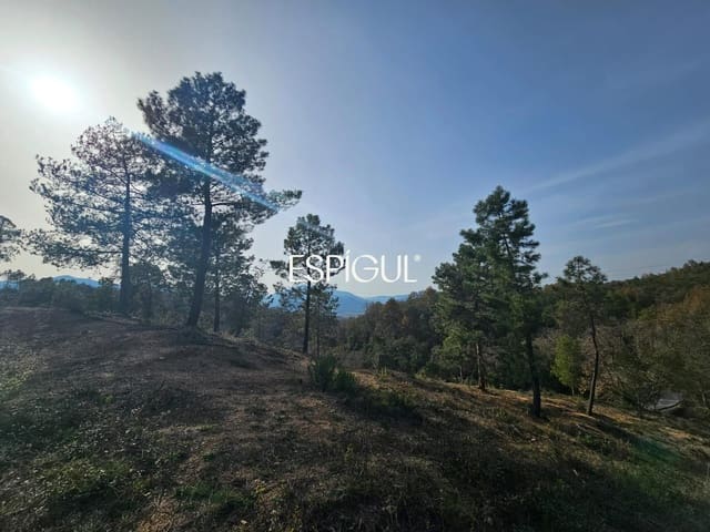 Terrain à Bâtir à vendre à Bescanó - 44 000 € (Ref: 10016001)