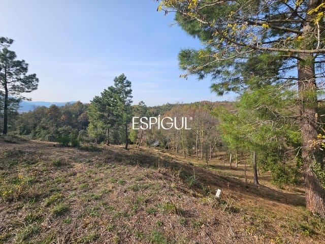 Terrain à Bâtir à vendre à Bescanó - 44 000 € (Ref: 10016001)