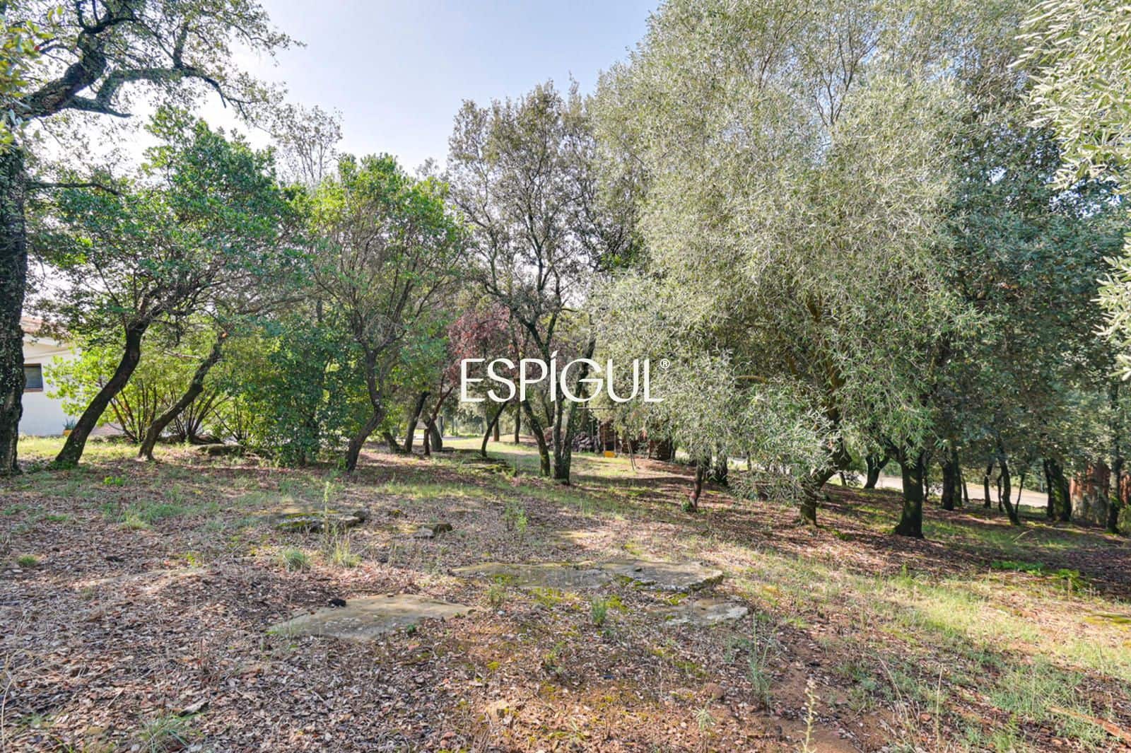 3 sypialnia Willa na sprzedaż w Canet d'Adri z garażem - 460 000 € (Ref: 10091338)