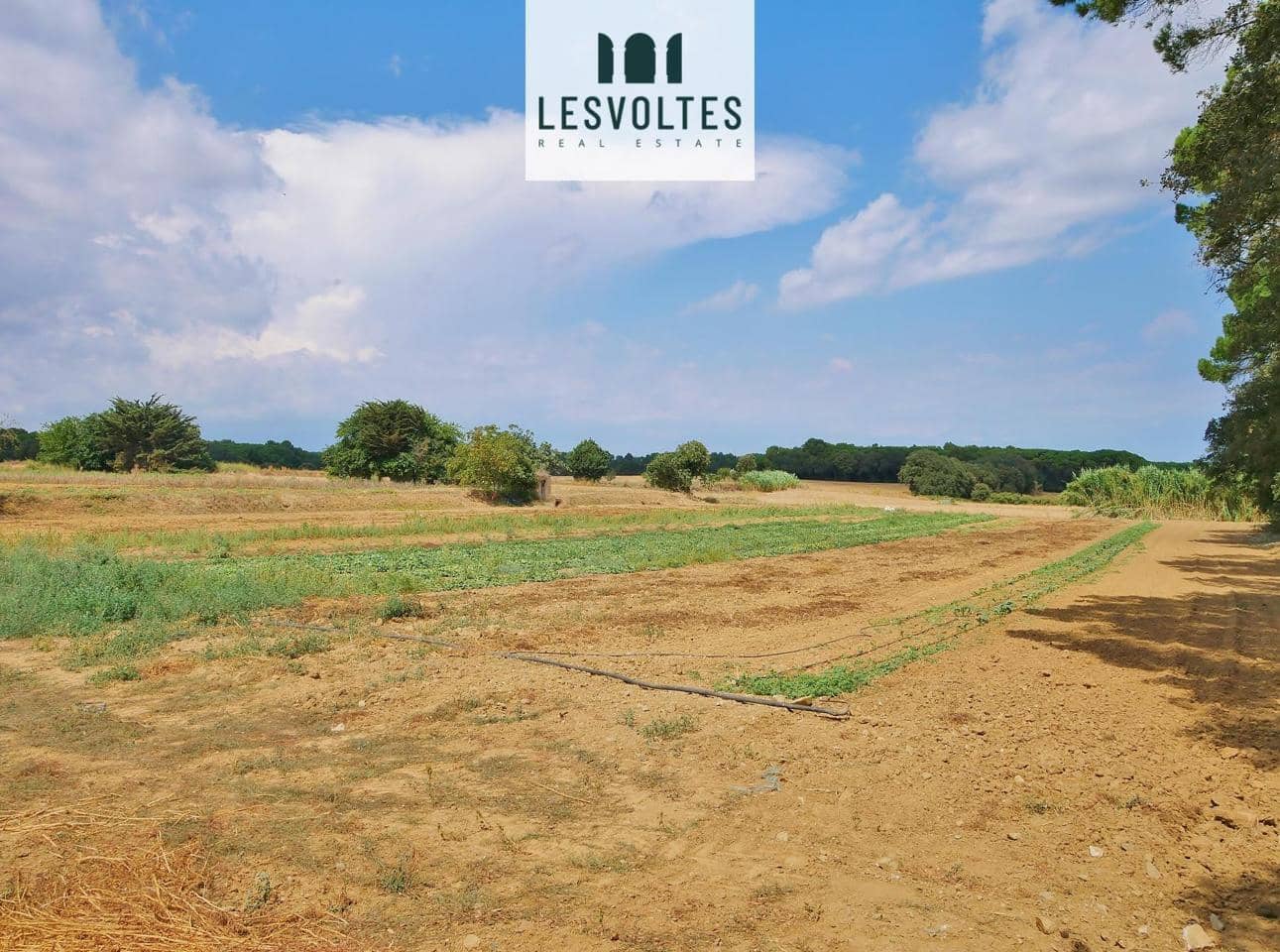 Undeveloped Land for sale in Llofriu - € 60,000 (Ref: 10081834)