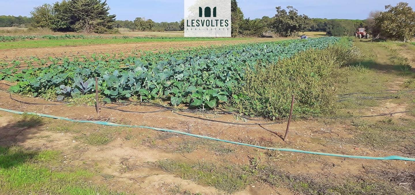Undeveloped Land for sale in Llofriu - € 60,000 (Ref: 10081834)