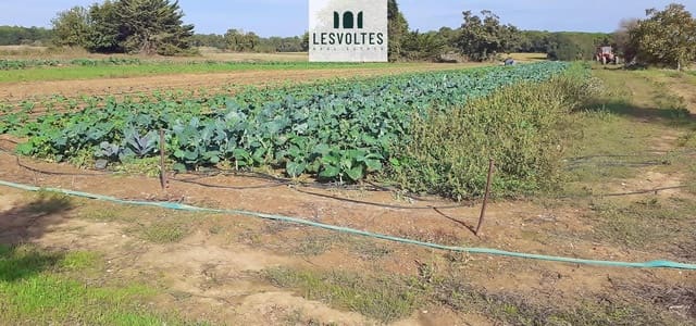Terreno/Finca Rústica en Llofriu, Palafrugell en venta - 60.000 € (Ref: 10081834)