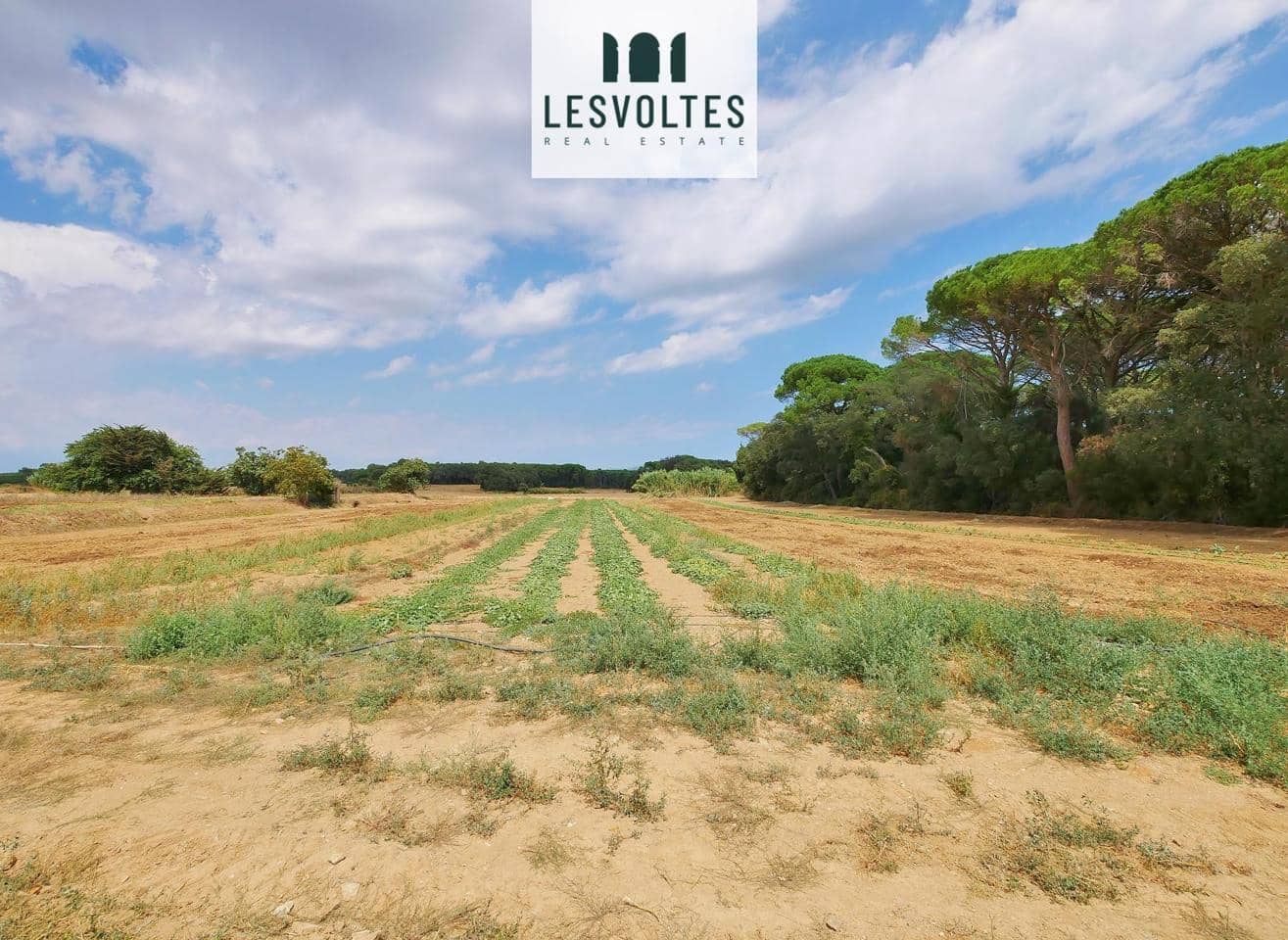 Undeveloped Land for sale in Llofriu - € 60,000 (Ref: 10081834)