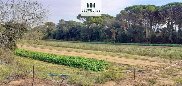 Terreno/Finca Rústica en Llofriu, Palafrugell en venta - 60.000 € (Ref: 10081834)