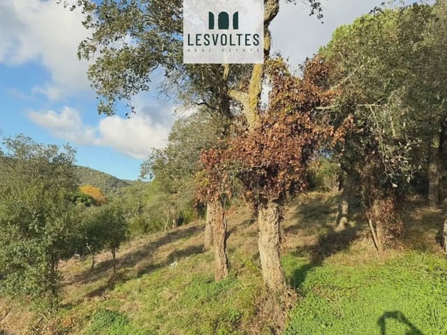 Bauplatz zu verkaufen in Calonge i Sant Antoni - 39.000 € (Ref: 10081875)