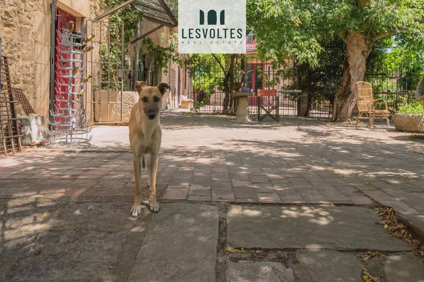 7 chambre Finca/Maison de Campagne à vendre à Sant Marti Vell avec garage - 3 800 000 € (Ref: 10081906)