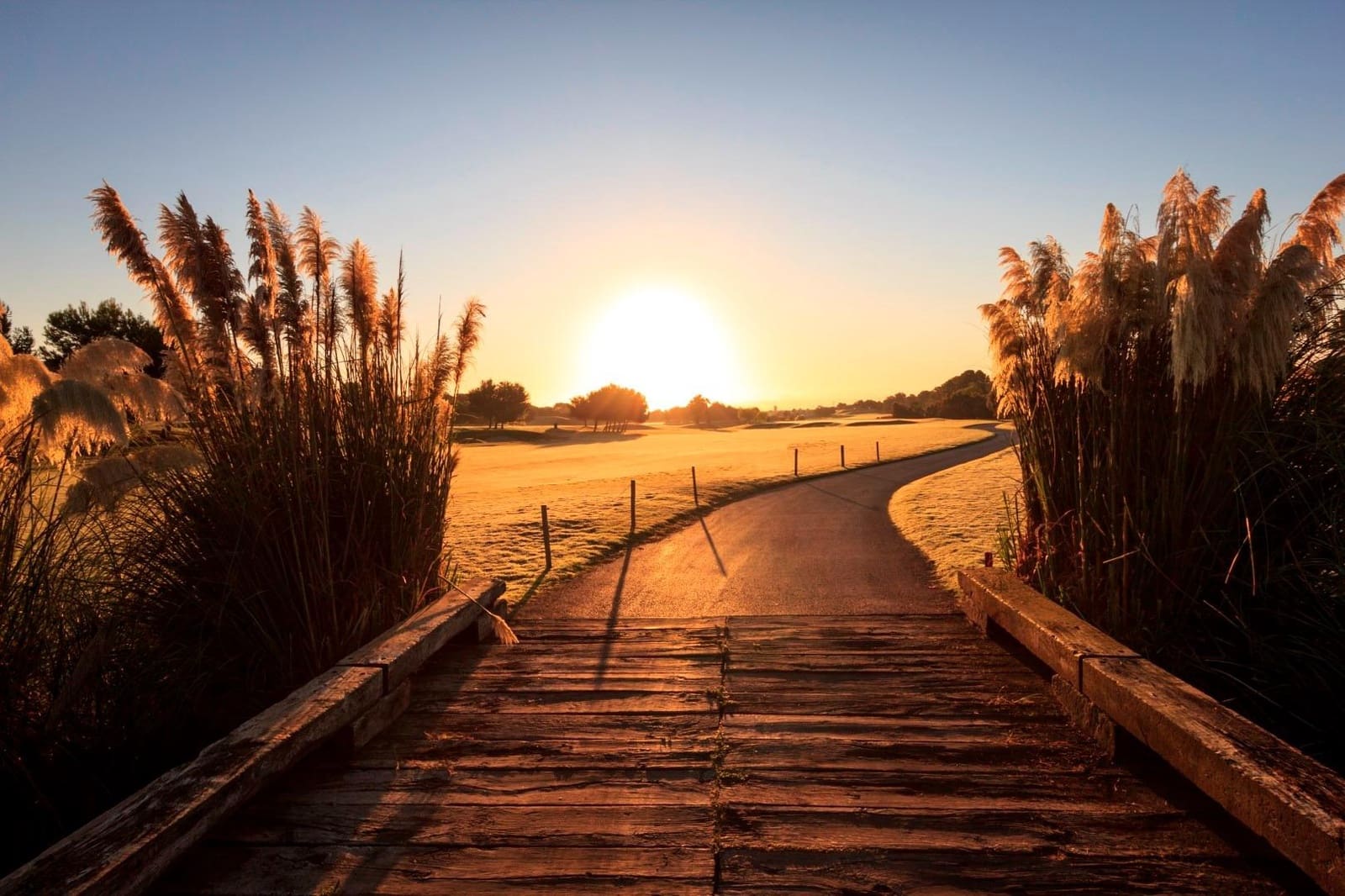 3 bedroom Villa for sale in Pilar de la Horadada with pool - € 489,000 (Ref: 8697006)