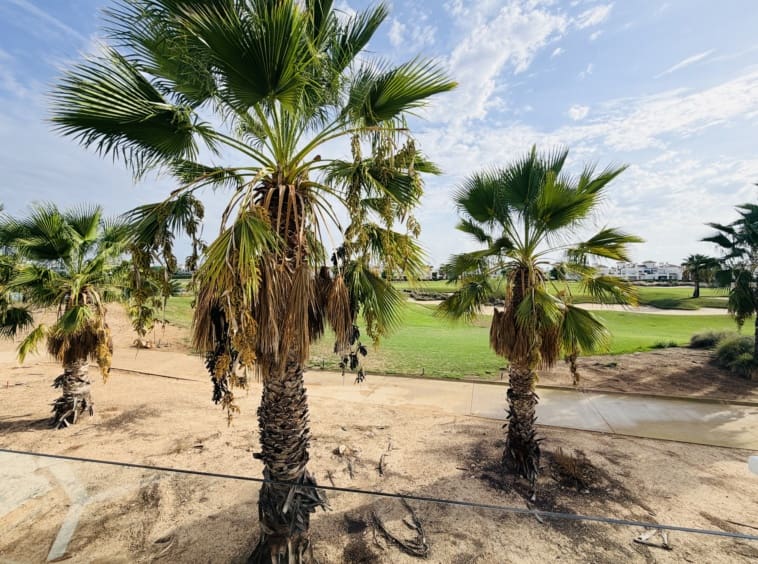 2 soverom Hus til salgs i La Torre Golf Resort - € 250 000 (Ref: 10128220)