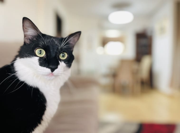 3 bedroom Townhouse for sale in San Cayetano - € 195,000 (Ref: 9627122)