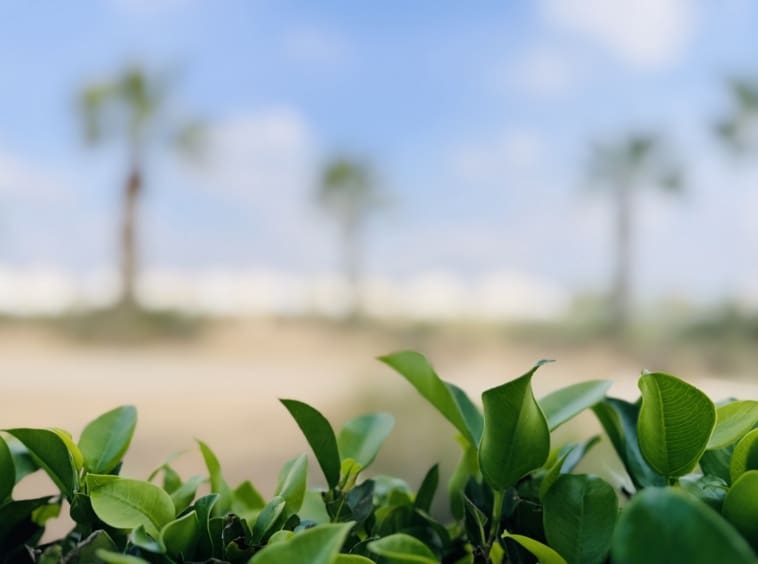 2 chambre Maison de Ville à vendre à Roldan avec piscine - 194 950 € (Ref: 9669841)