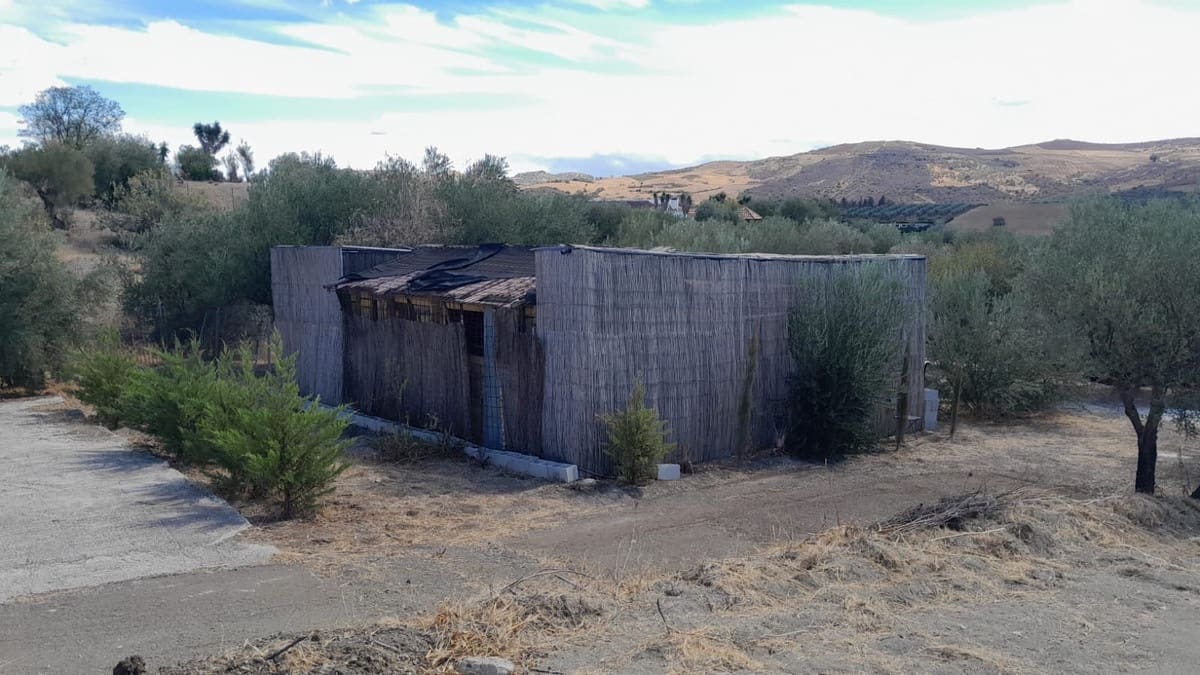 Terre non Aménagée à vendre à Casarabonela - 85 000 € (Ref: 9603588)