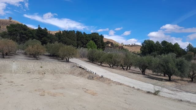 Terreno Non Edificato in vendita in Casarabonela - 85.000 € (Rif: 9603588)