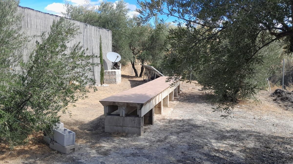 Undeveloped Land for sale in Casarabonela - € 85,000 (Ref: 9603588)