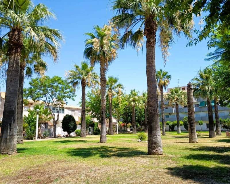 2 bedroom Townhouse for sale in La Regia - € 235,000 (Ref: 10008040)