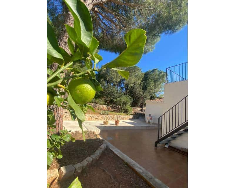4 slaapkamer Villa te koop in Denia met zwembad - € 1.400.000 (Ref: 10014294)