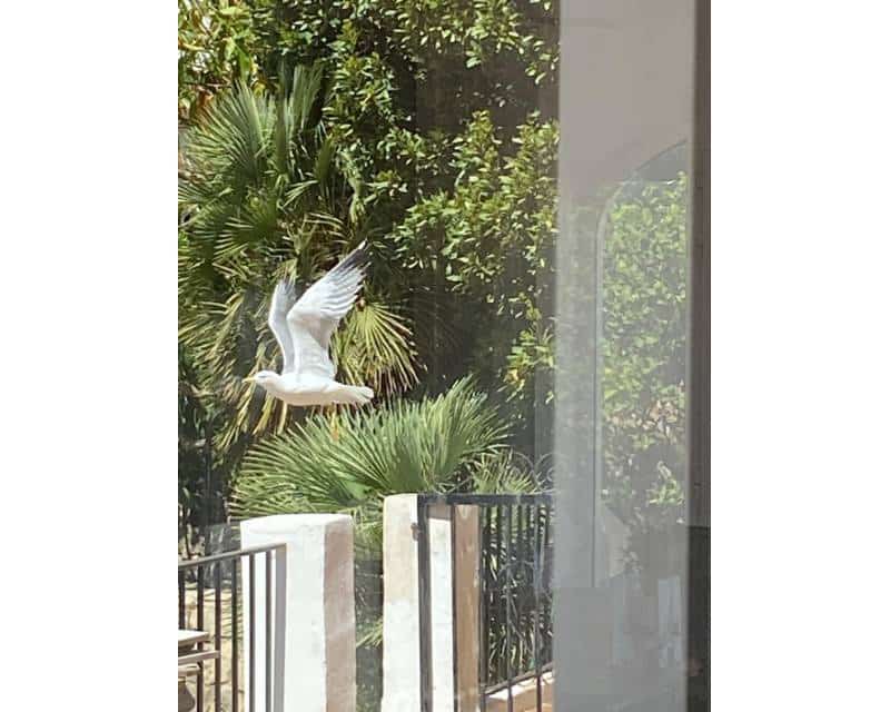 4 slaapkamer Villa te koop in Denia met zwembad - € 1.400.000 (Ref: 10014294)