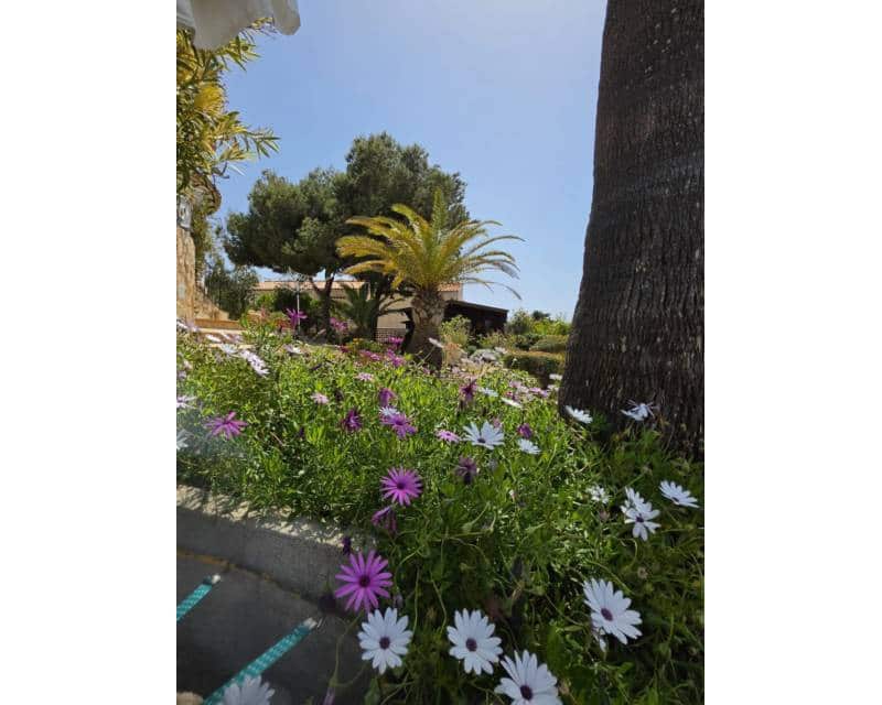 2 slaapkamer Villa te koop in Javea / Xabia met zwembad - € 900.000 (Ref: 10014804)