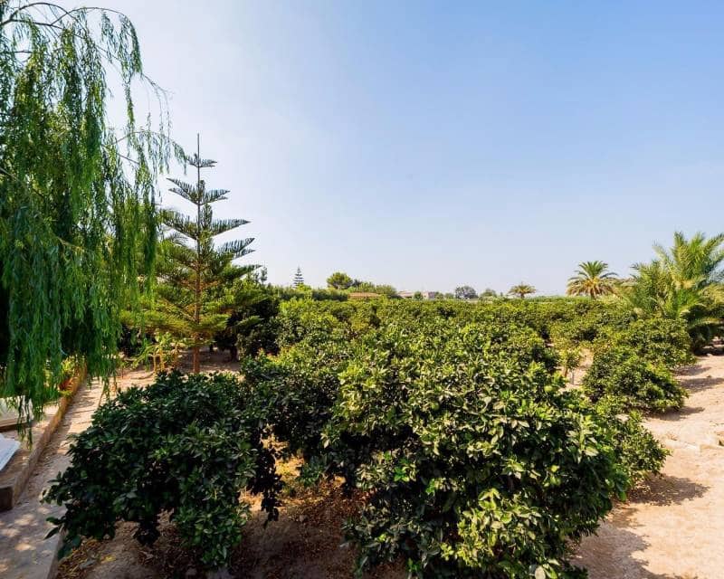 5 bedroom Finca/Country House for sale in Almoradi with pool garage - € 1,300,000 (Ref: 10021578)