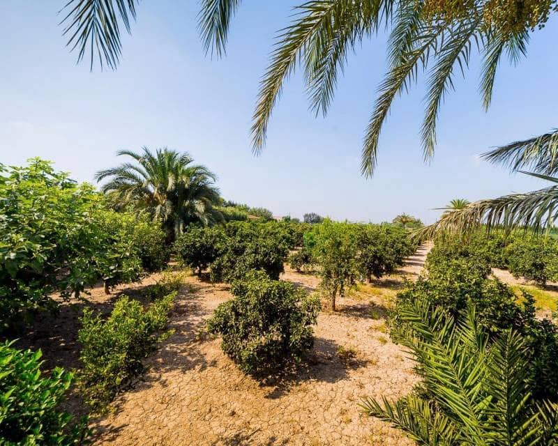 5 bedroom Finca/Country House for sale in Almoradi with pool garage - € 1,300,000 (Ref: 10021578)