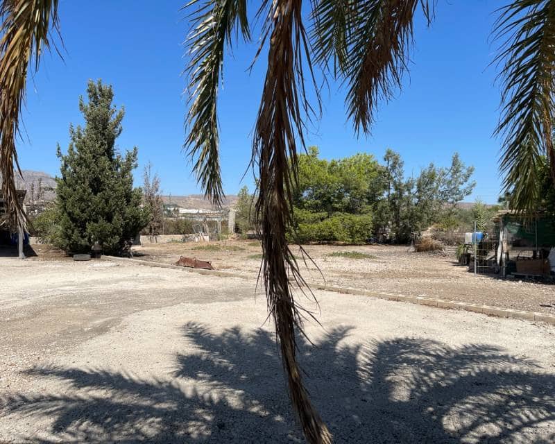 3 Zimmer Villa zu verkaufen in Crevillente / Crevillent mit Garage - 299.000 € (Ref: 10021774)