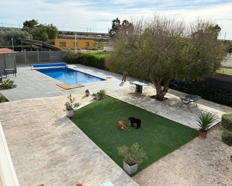 5 sovrum Villa till salu i Crevillente / Crevillent - 449 000 € (Ref: 10024723)