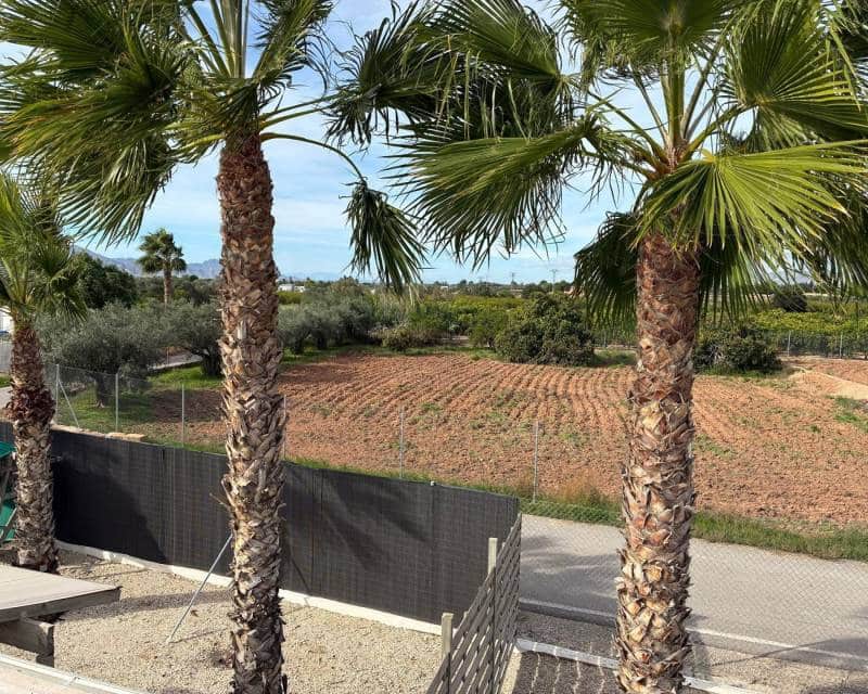5 sovrum Villa till salu i Crevillente / Crevillent - 449 000 € (Ref: 10024723)
