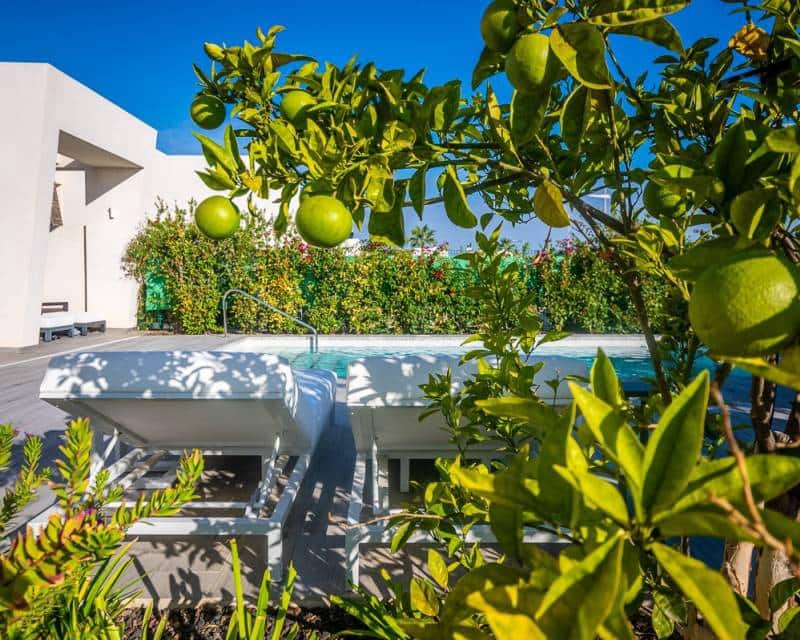 2 soverom Villa til salgs i Algorfa - € 610 000 (Ref: 10024728)