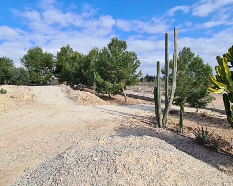 3 camera da letto Villa in vendita in La Matanza con piscina - 1.150.000 € (Rif: 10026214)