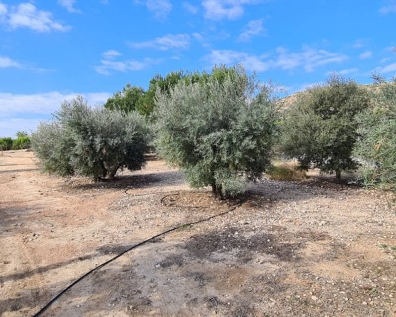 3 camera da letto Villa in vendita in La Matanza con piscina - 1.150.000 € (Rif: 10026214)