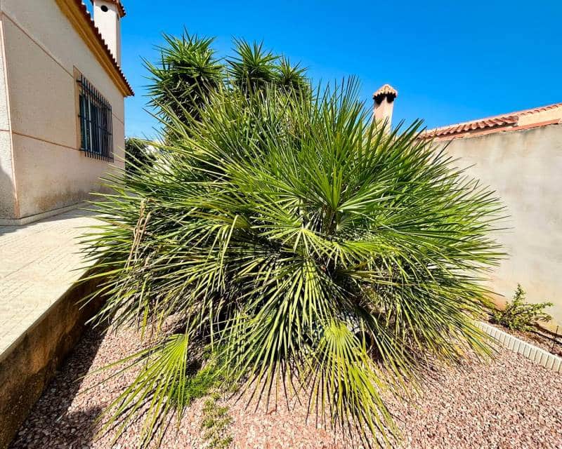 3 soveværelse Villa til salg i Torrevieja med swimmingpool - € 360.000 (Ref: 10026306)