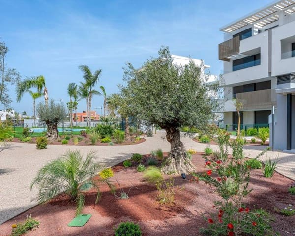2 makuuhuone Huoneisto myytävänä paikassa Torre-Pacheco mukana uima-altaan - 329 000 € (Ref: 10026308)