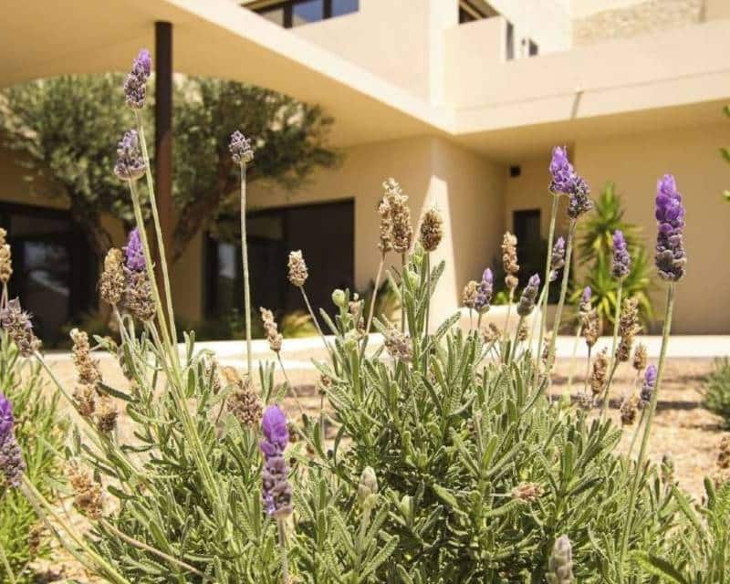 4 quarto Moradia para venda em La Marina - 1 485 750 € (Ref: 10026535)