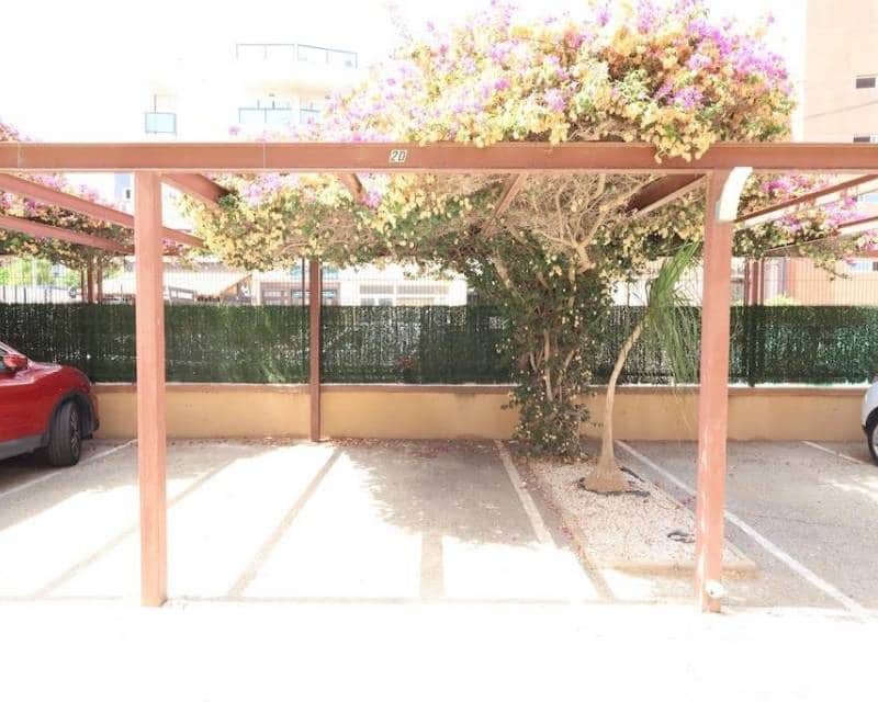 2 Zimmer Apartment zu verkaufen in La Regia mit Pool - 249.900 € (Ref: 10033110)