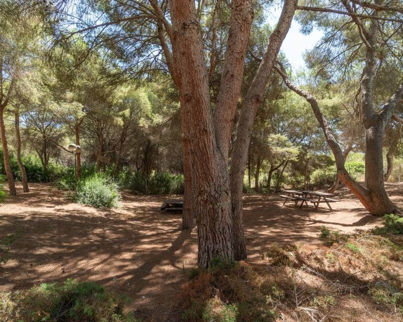 Apartamento de 2 habitaciones en Orihuela Costa en venta con piscina - 215.000 € (Ref: 10034250)