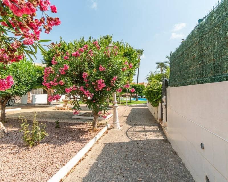 1 chambre Appartement à vendre à Torrevieja avec piscine - 149 000 € (Ref: 10034347)