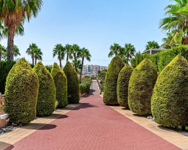 2 soverom Leilighet til salgs i Playa Flamenca med svømmebasseng - € 215 000 (Ref: 10039268)
