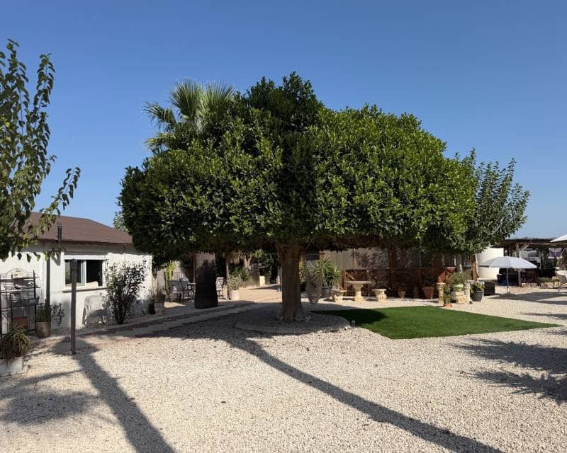 Finca/Casa Rural de 3 habitaciones en La Marina en venta con piscina - 375.000 € (Ref: 10062476)