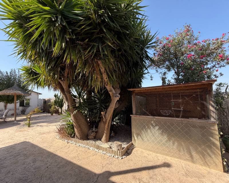 Finca/Casa Rural de 3 habitaciones en La Marina en venta con piscina - 375.000 € (Ref: 10062476)