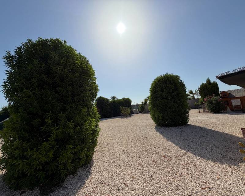 Finca/Casa Rural de 3 habitaciones en La Marina en venta con piscina - 375.000 € (Ref: 10062476)