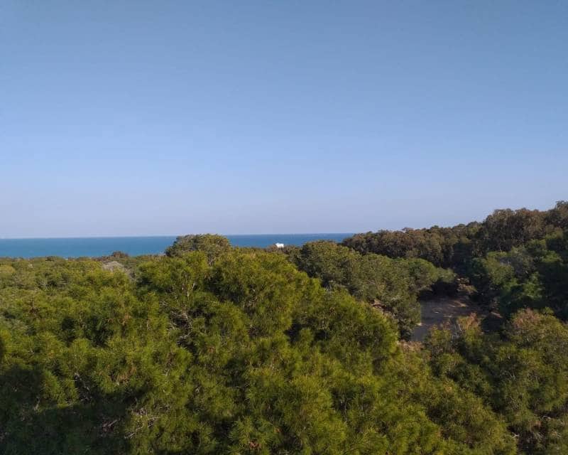 4 chambre Penthouse à vendre à Guardamar del Segura avec piscine garage - 950 000 € (Ref: 10076757)