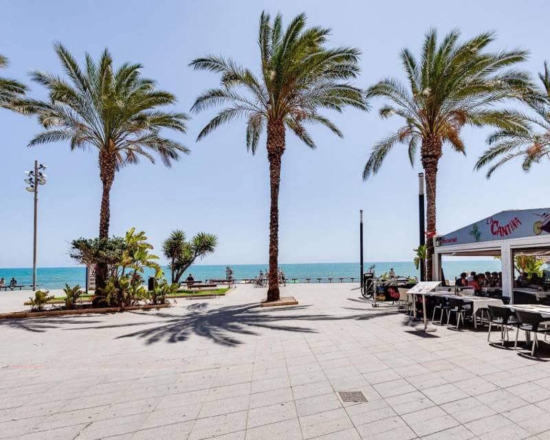 3 makuuhuone Huoneisto myytävänä paikassa Torrevieja mukana 
autotalli - 224 969 € (Ref: 10097286)