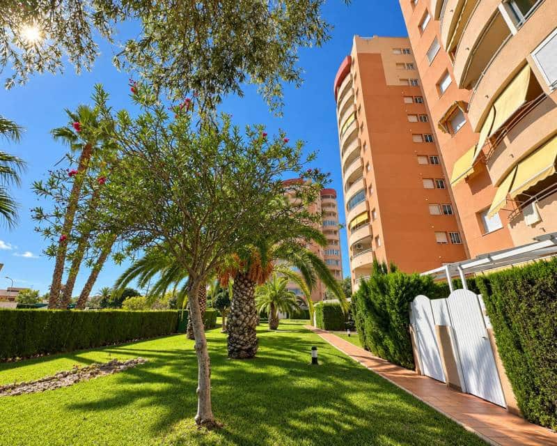 2 Zimmer Penthouse zu verkaufen in Campoamor mit Pool - 290.000 € (Ref: 10113367)