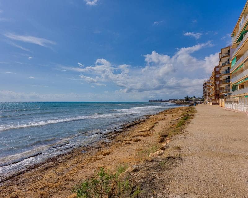 3 Zimmer Apartment zu verkaufen in Torrevieja - 265.000 € (Ref: 10117150)