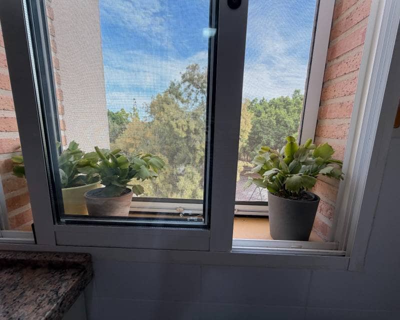 2 soverom Leilighet til salgs i Pilar de la Horadada med garasje - € 159 950 (Ref: 10118161)