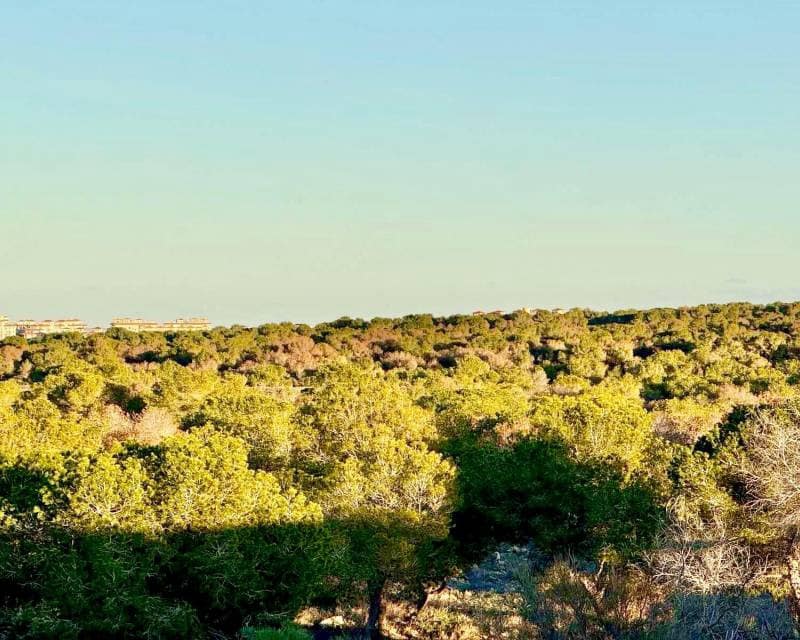 3 camera da letto Casa in vendita in La Siesta - 199.000 € (Rif: 10158148)