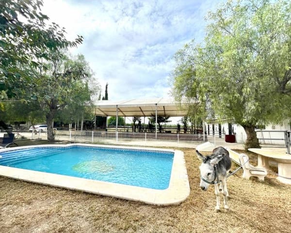 Finca/Casa Rural de 3 habitaciones en Orihuela ciudad, Orihuela en venta con piscina garaje - 423.000 € (Ref: 10169417)