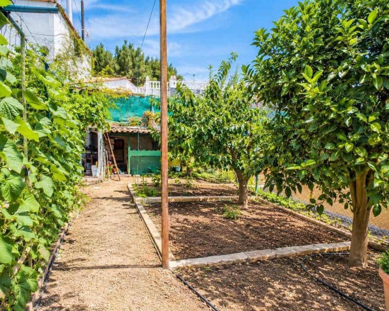 3 slaapkamer Villa te koop in San Miguel de Salinas met zwembad - € 369.000 (Ref: 10177539)