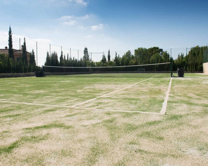 5 chambre Villa/Maison à vendre à Hondon de las Nieves avec piscine garage - 1 149 000 € (Ref: 6640928)