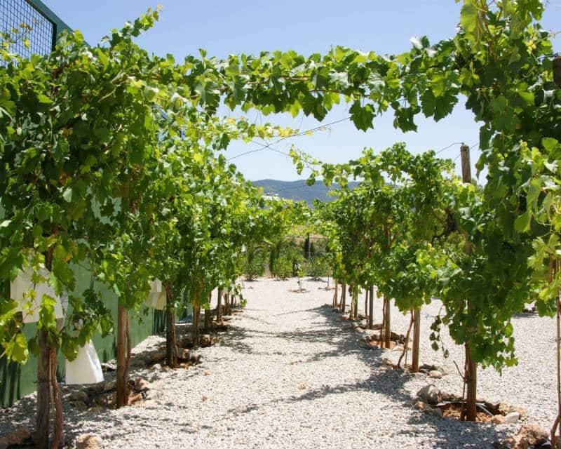 5 chambre Villa/Maison à vendre à Hondon de las Nieves avec piscine garage - 1 149 000 € (Ref: 6640928)