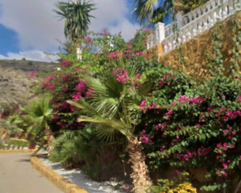 5 chambre Villa/Maison à vendre à Hondon de las Nieves avec piscine garage - 1 149 000 € (Ref: 6640928)